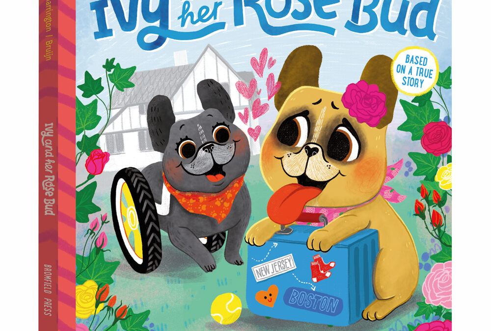 Picture book Ivy and her Rose Bud